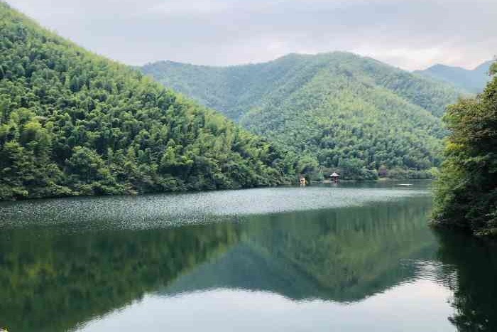 Tianmu Lake South Mountain Bamboo Sea Scenic Area